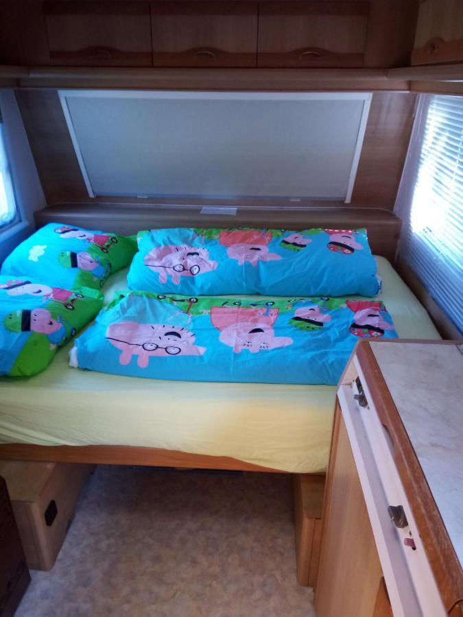 קבלאאר Urlaub Machen Direkt Am Irland Das Kinderparadies In Twisteden Im Grossen Garten Bei Privatleute Fur Maximal Sechs Personen מראה חיצוני תמונה